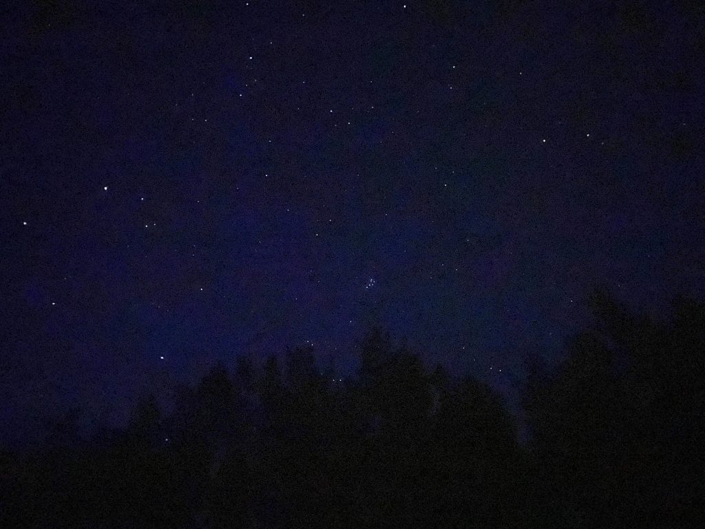 Sternenhimmel über Waldsaum