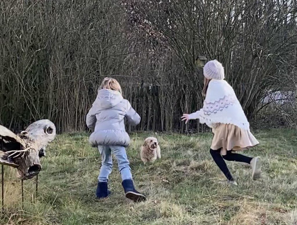 Zwei Kinder von hinter spielen mit Hund auf Winterlicher Wiese