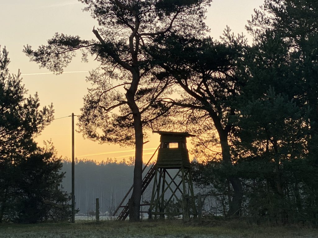 Hochsitz aus Holz unter Bäumen vor Sonnenaufgang