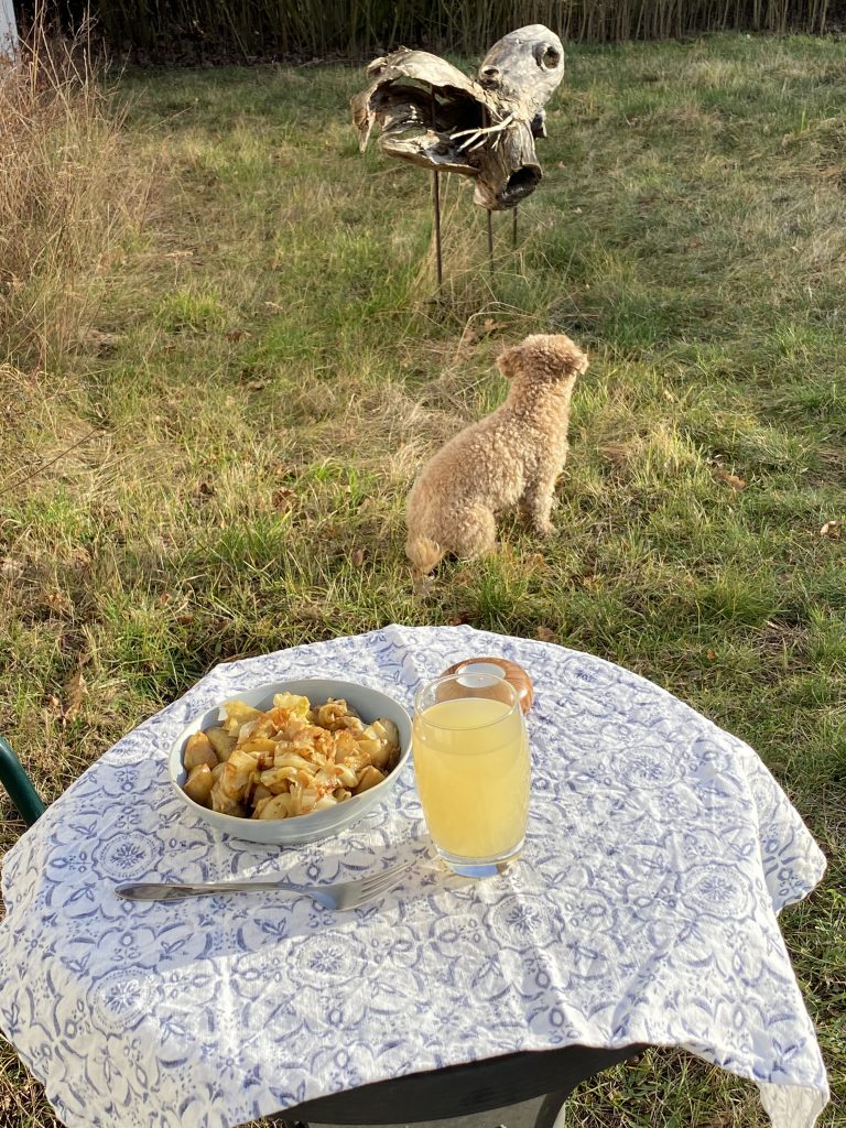 Teller mit Kartoffelpfanne, Gabel und Glas auf Tisch in der Sonne, dahinter Hund und Holzskulptur
