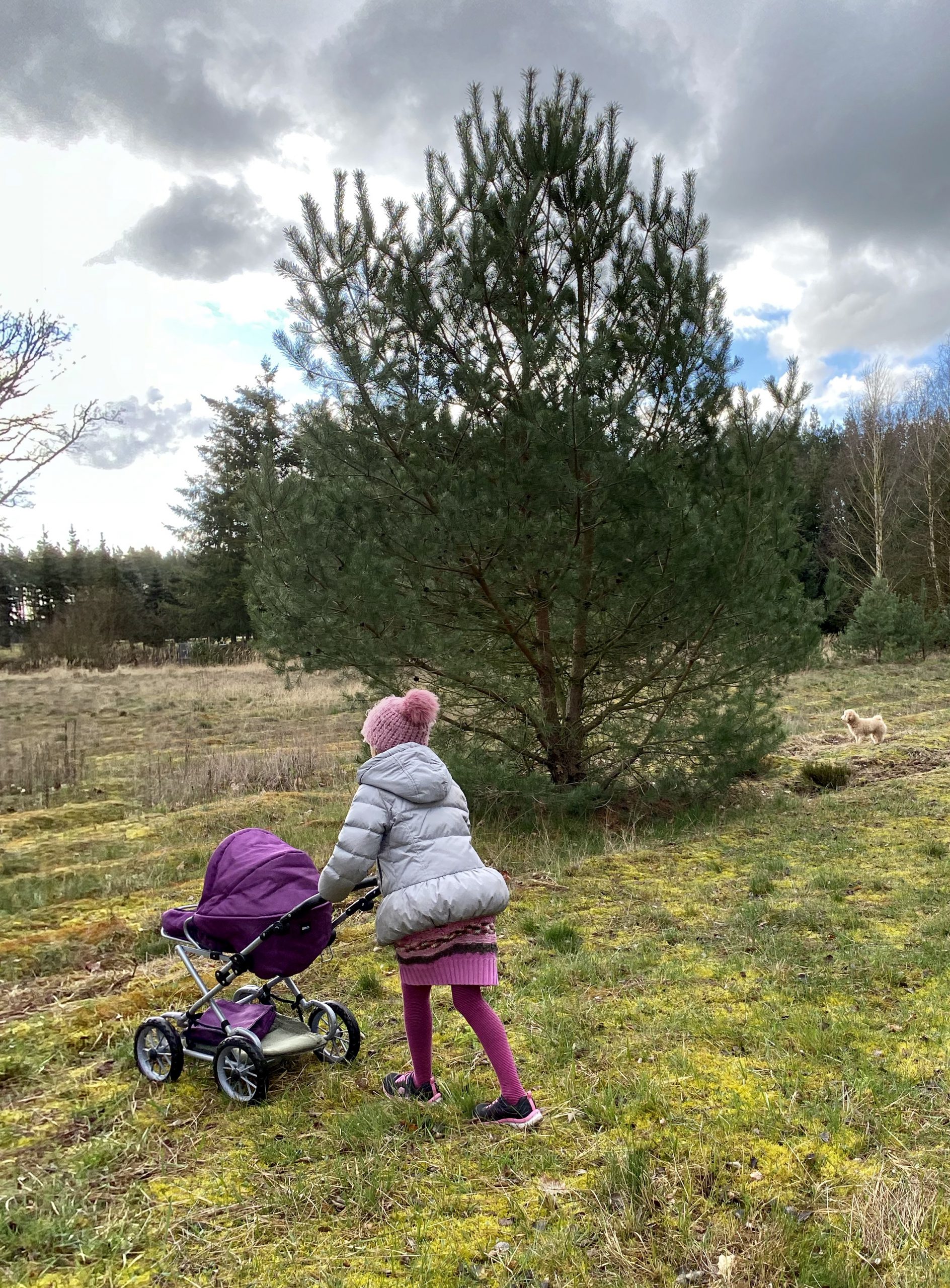 Kind mit Puppenwagen in Heidelandschaft