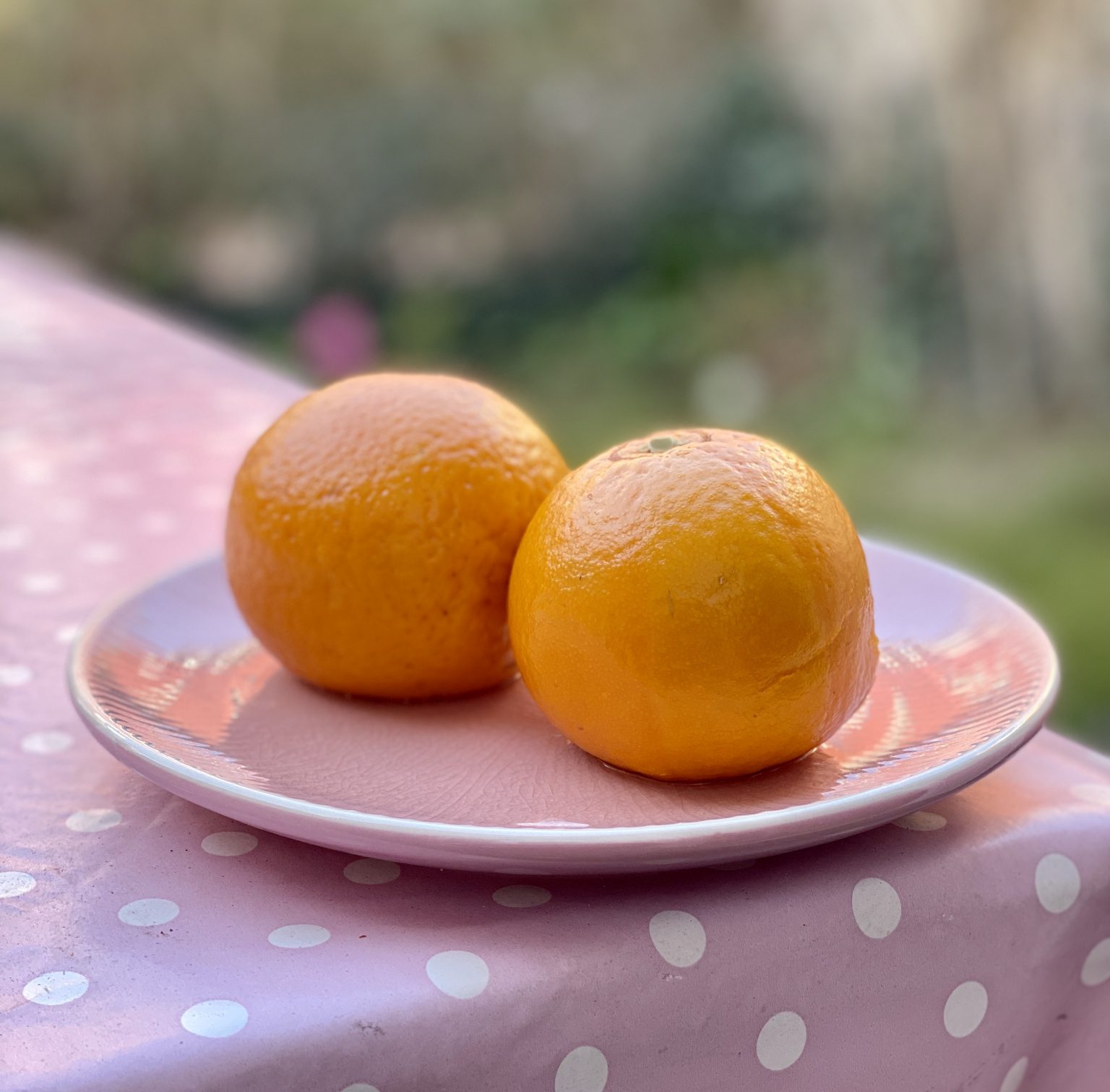 Orangen-Mandel-Kuchen als Osterrezept - feinslieb