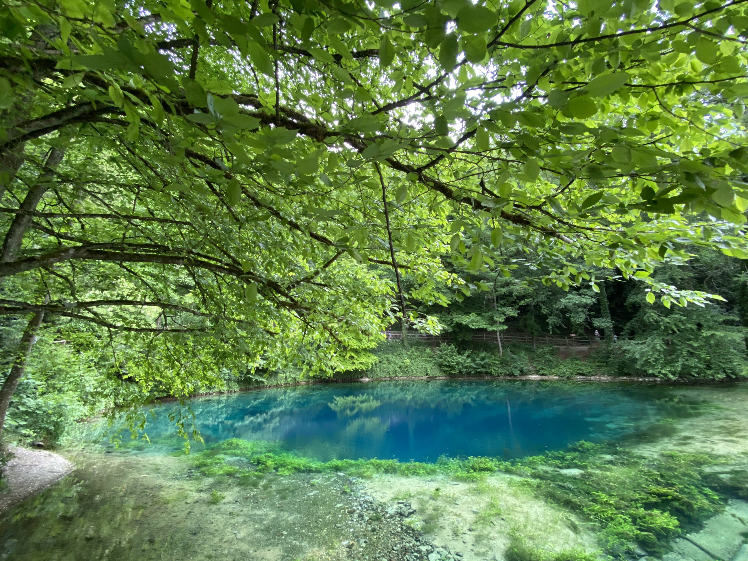 Der Blautopf bei Blaubeuren am 3. Juni 2020, unter grünen Blättern