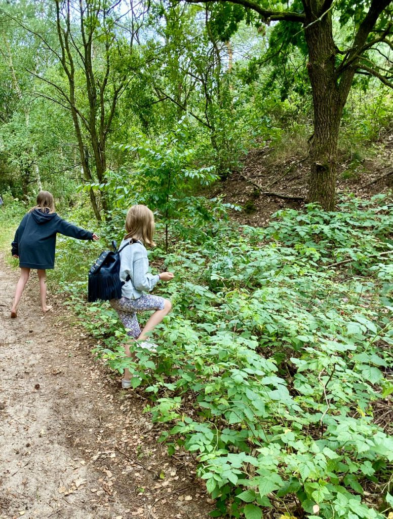 Meine beiden Töchter pflücken Himbeeren im Wald - der 5. meiner Glücksmomente im Juli