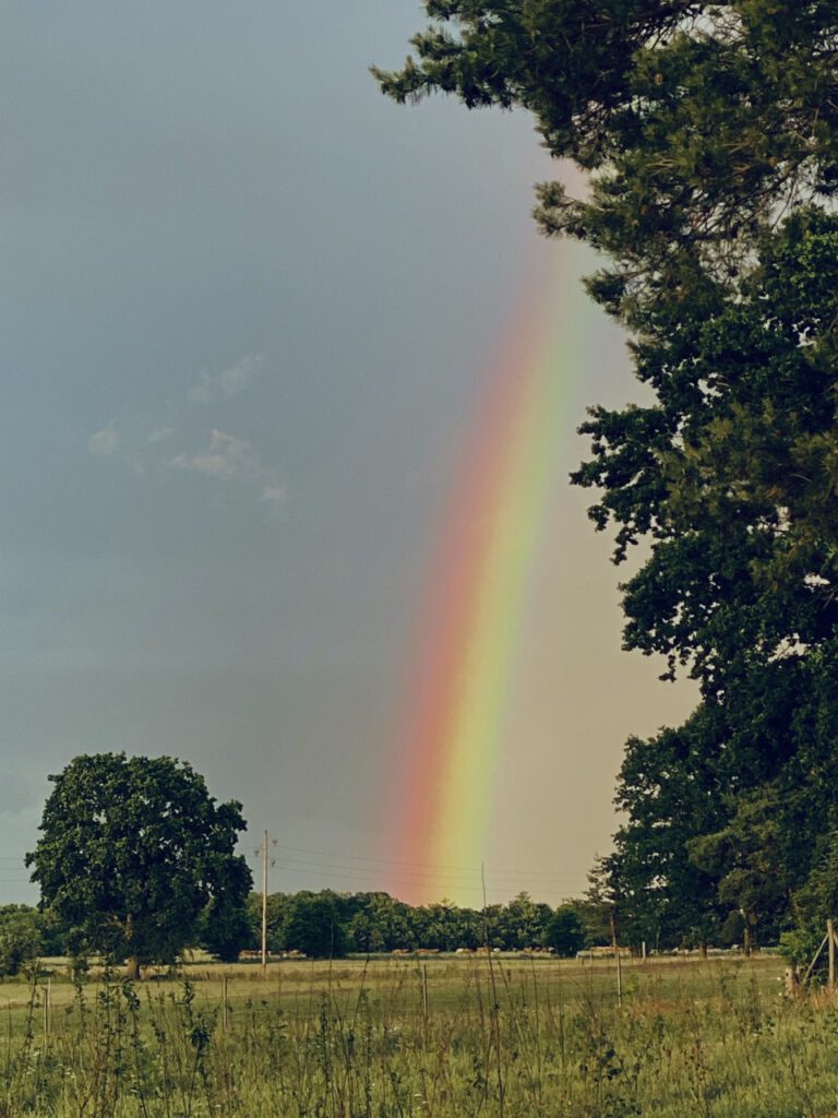 Der zweite meiner Glücksmomente im Juli: ein Regenbogen, der vom Feldrand zu den Bäumen reichte.