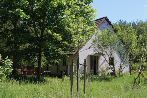 Haus auf dem Land nah, mit Bäumen daneben