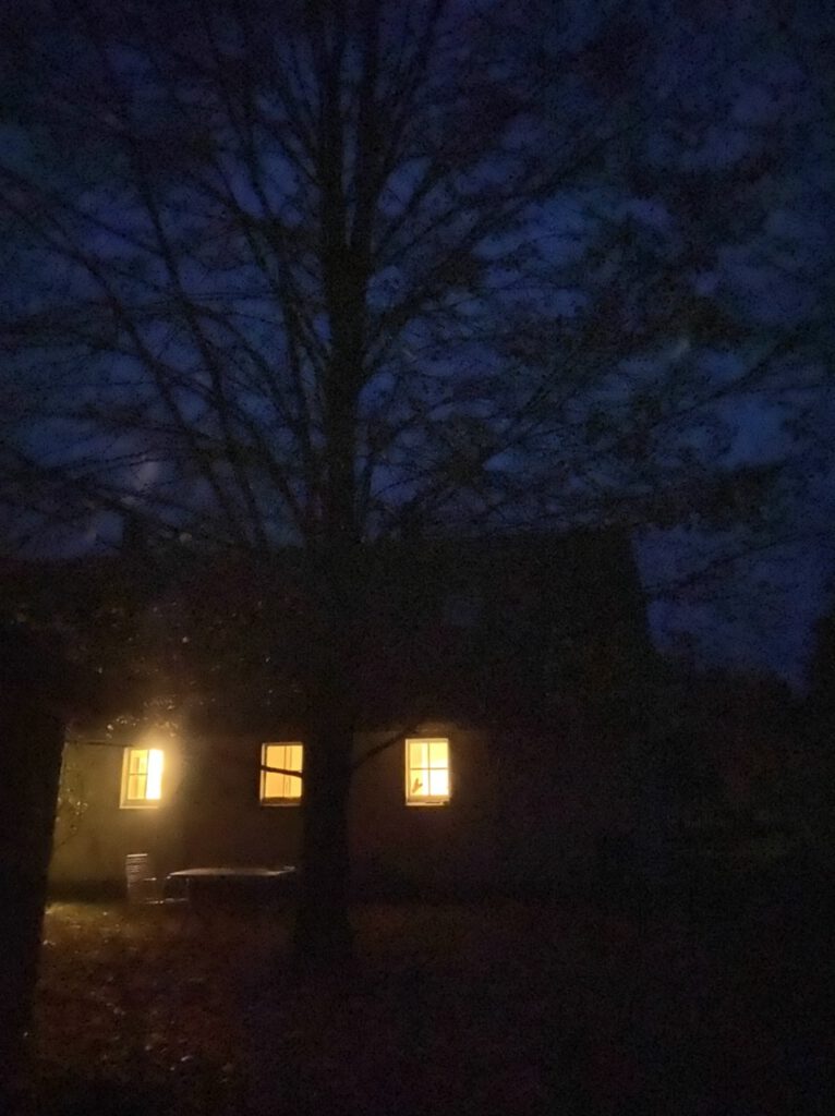 Haus mit erleuchteten Fenstern im Dunkeln, kahler Baum davor