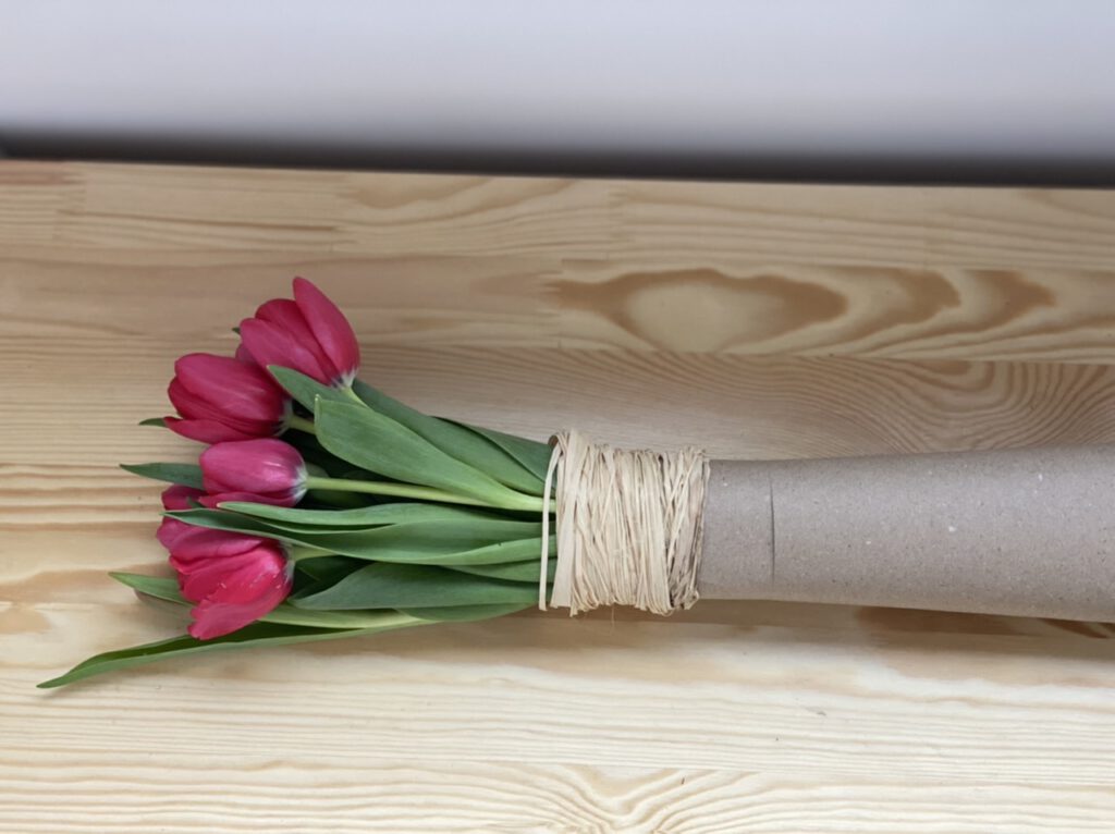 Pinke Tulpen in Papprolle, auf Holztisch liegend