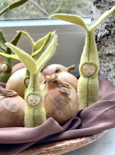 Sprossen-Blumenkinder in Filz zwischen Zwiebeln auf Teller
