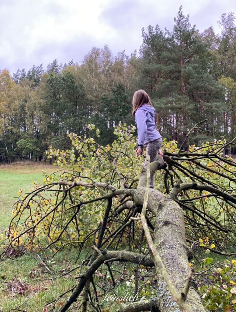 Ideen mit Kindern im Oktober: Klettern auf umgefallenem Baum