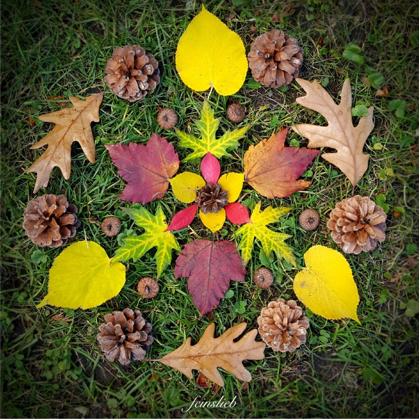 Natur-Mandala aus Blättern und Zapfen