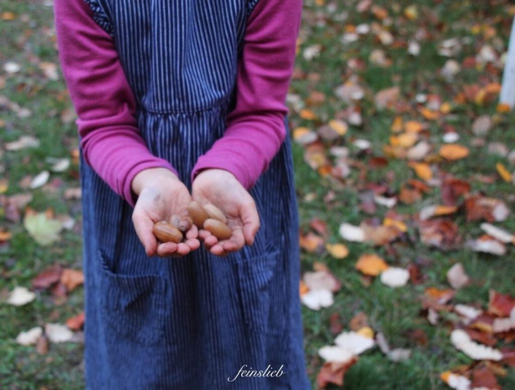 Kind steht auf Wiese mit bunten Blättern und hat Eicheln in der Hand