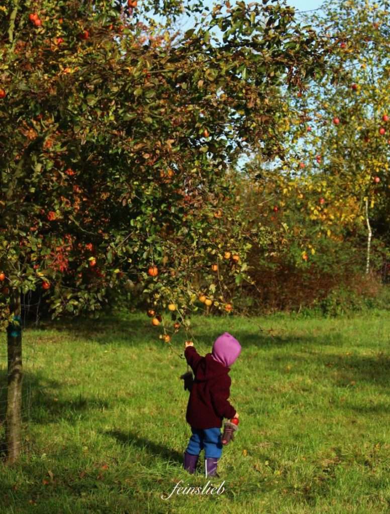 Kleines Kind mit rosa Mütze unter einem Apfelbaum voll mit Äpfeln (September Ideen für Aktivitäten mit Kindern)