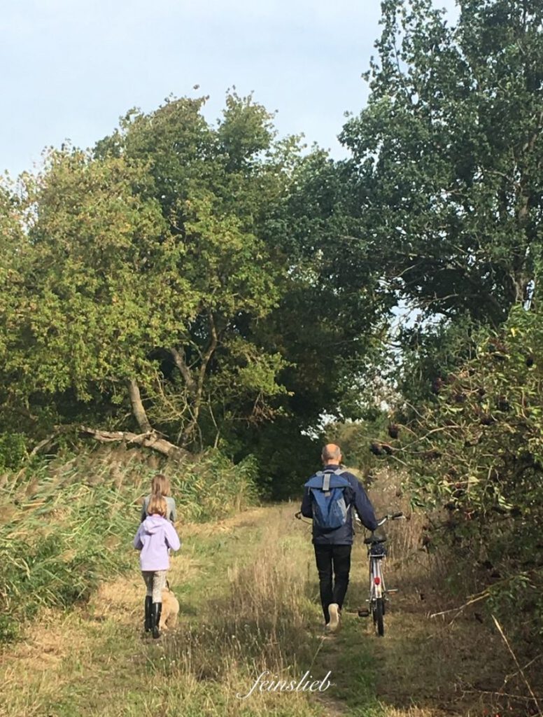 Vater mit Fahrrad, zwei Kinder und Hund zu Fuß von hinten auf einem grünen Weg mitten in der Natur, Bäume darüber. Zum Thema September im Jahreskreis.