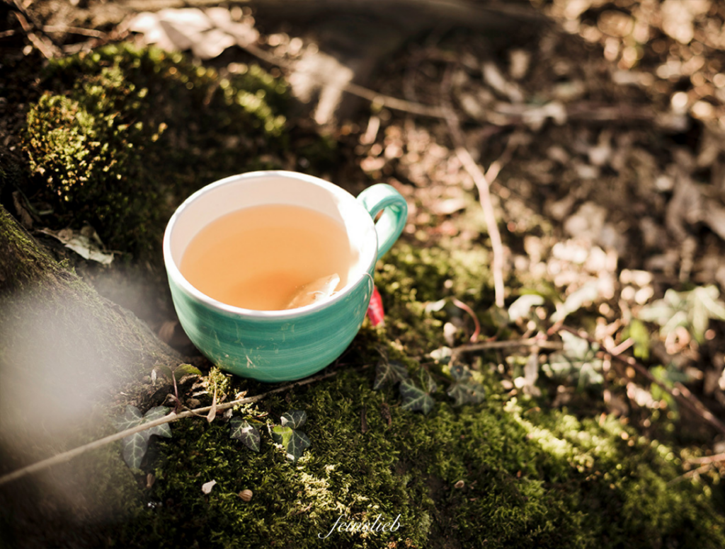 Teetasse auf Baumstamm im Wald - Fasten als typische März-Aktivität