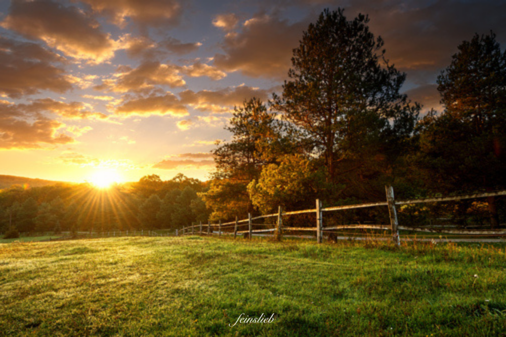 Der Juni im Jahreskreis Bedeutung, Rituale, Jahreskreisfeste feinslieb