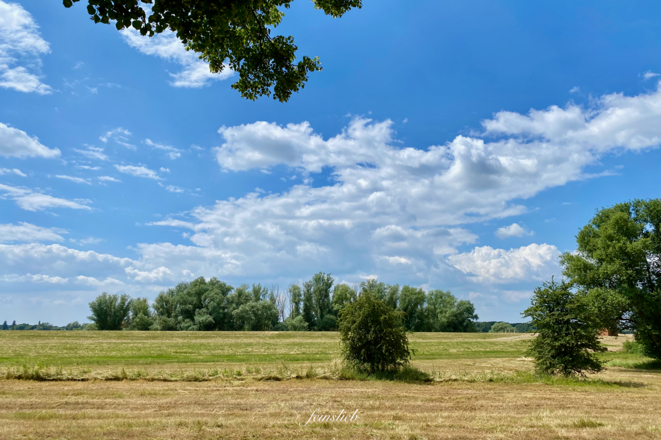 Der Juni im Jahreskreis Bedeutung, Rituale, Jahreskreisfeste feinslieb