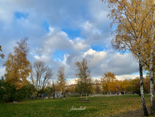 Mauerpark Berlin im Herbst
