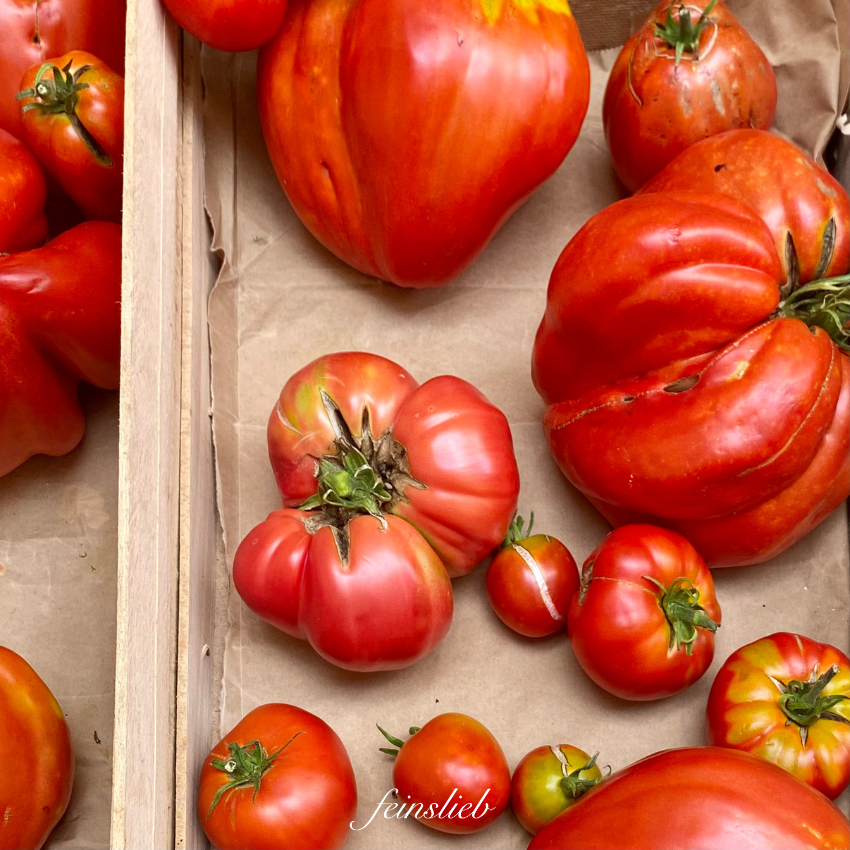 Tomaten